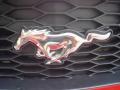 2009 Mustang GT Coupe #12