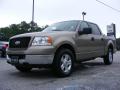 2004 F150 XLT SuperCrew #4 2004 F150 XLT SuperCrew #4