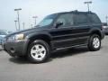 2007 Escape XLT #2