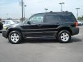 2007 Escape XLT #3