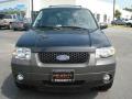 2007 Escape XLT #9