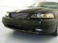 2000 Mustang GT Coupe #28