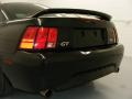 2000 Mustang GT Coupe #29