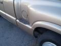 1997 S10 LS Extended Cab #10