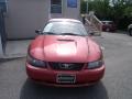 1999 Mustang GT Convertible #1