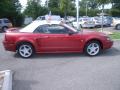 1999 Mustang GT Convertible #7