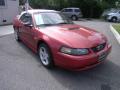 1999 Mustang GT Convertible #8