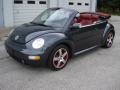 2005 New Beetle Dark Flint Edition Convertible #25