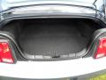 2005 Mustang V6 Deluxe Coupe #11 2005 Mustang V6 Deluxe Coupe #11