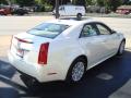 2010 CTS 3.0 Sedan #4