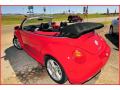 2004 New Beetle GLS 1.8T Convertible #23