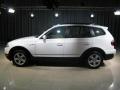 2007 X3 3.0si #19