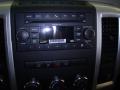 2010 Ram 1500 Big Horn Crew Cab 4x4 #19 2010 Ram 1500 Big Horn Crew Cab 4x4 #19
