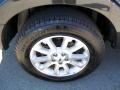 2007 Explorer Sport Trac Limited #8