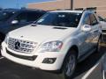 2010 ML 350 4Matic #1