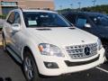 2010 ML 350 4Matic #3