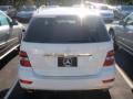 2010 ML 350 4Matic #7