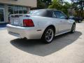 2004 Mustang GT Convertible #8