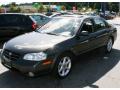 2001 Maxima SE #1