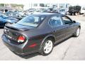 2001 Maxima SE #5