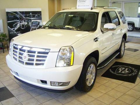White Diamond Cadillac Escalade AWD.  Click to enlarge.
