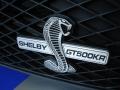 2009 Mustang Shelby GT500KR Coupe #8