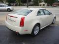 2010 CTS 4 3.0 AWD Sedan #4
