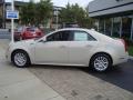 2010 CTS 4 3.0 AWD Sedan #7