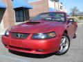 2001 Mustang GT Convertible #4