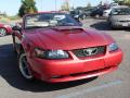2001 Mustang GT Convertible #6