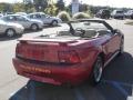 2001 Mustang GT Convertible #8