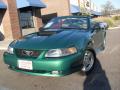 2002 Mustang V6 Convertible #4