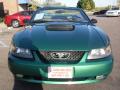 2002 Mustang V6 Convertible #5