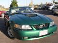 2002 Mustang V6 Convertible #6