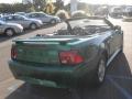 2002 Mustang V6 Convertible #8