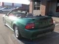 2002 Mustang V6 Convertible #10