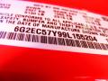 2009 G8 GT #29 2009 G8 GT #29