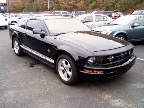 Black Ford Mustang V6 Premium Coupe.  Click to enlarge.