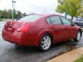 2004 Maxima 3.5 SL #5