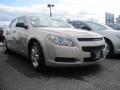 2010 Malibu LS Sedan #3 2010 Malibu LS Sedan #3