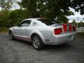 2005 Mustang V6 Deluxe Coupe #4