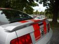 2005 Mustang V6 Deluxe Coupe #8