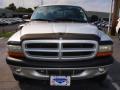 2002 Dakota Sport Quad Cab 4x4 #8