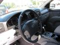 2009 Sorento LX 4x4 #10