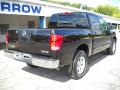 2009 Titan SE Crew Cab 4x4 #2