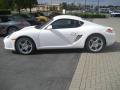 2010 Cayman S #7