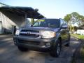 2007 Sequoia Limited #3