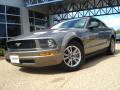 2005 Mustang V6 Deluxe Coupe #1 2005 Mustang V6 Deluxe Coupe #1