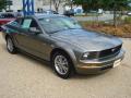 2005 Mustang V6 Deluxe Coupe #8 2005 Mustang V6 Deluxe Coupe #8