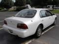 1996 Maxima SE #6
